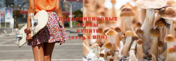 MESCALINE Верея