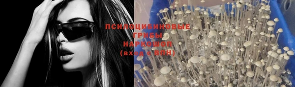 твердый Верхний Тагил