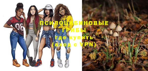 твердый Верхний Тагил