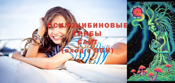 твердый Верхний Тагил