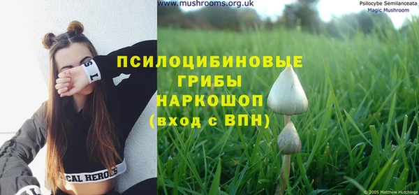 марки nbome Бородино