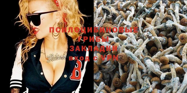 MESCALINE Верея
