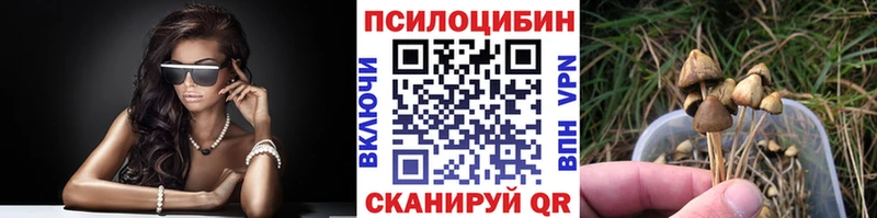 Купить где  Верхний Уфалей  Галлюциногенные грибы Psilocybine cubensis 