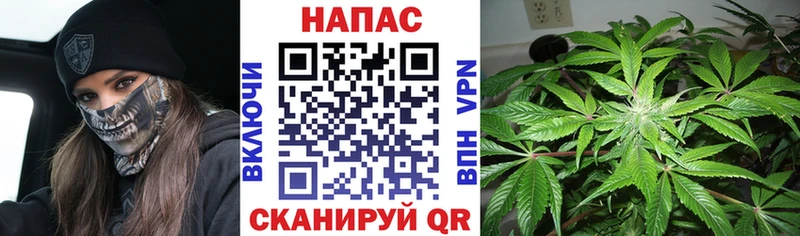 Бошки марихуана Amnesia  Купить закладки  Верхний Уфалей 